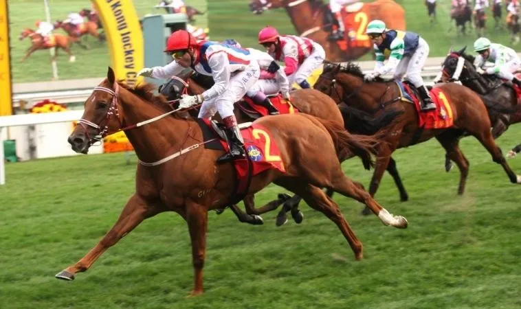 Điều Gì Làm Nên Sức Hút Của Đua Ngựa FUN88 2 Cần tìm hiểu về ngựa chiến trước khi cá cược đua ngựa FUN88